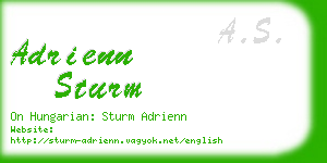 adrienn sturm business card